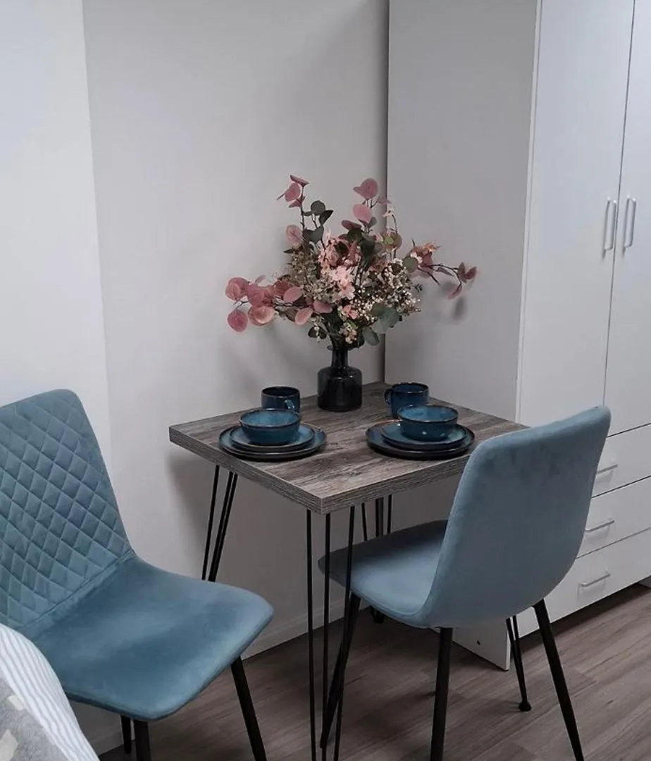 Beautiful Cozy Studio Hounslow Apartment